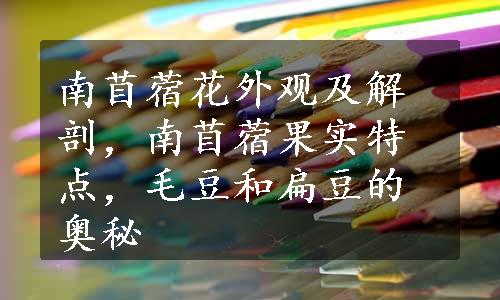 南苜蓿花外观及解剖，南苜蓿果实特点，毛豆和扁豆的奥秘