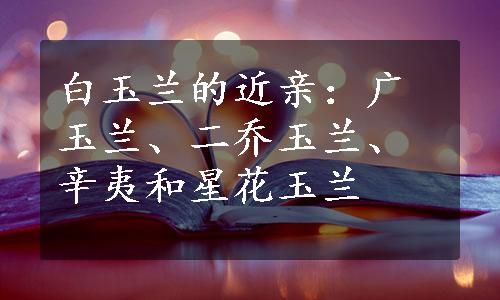 白玉兰的近亲：广玉兰、二乔玉兰、辛夷和星花玉兰