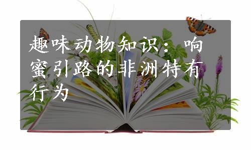 趣味动物知识：响蜜引路的非洲特有行为