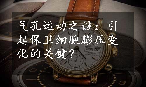 气孔运动之谜：引起保卫细胞膨压变化的关键？