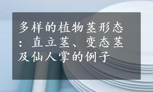 多样的植物茎形态：直立茎、变态茎及仙人掌的例子