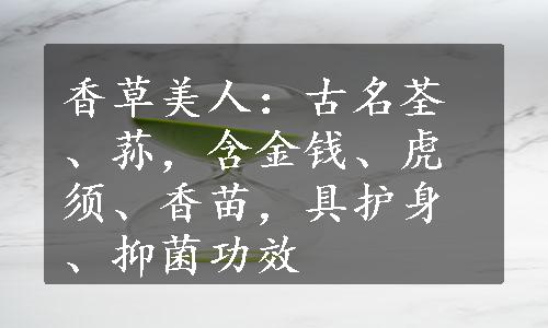 香草美人：古名荃、荪，含金钱、虎须、香苗，具护身、抑菌功效