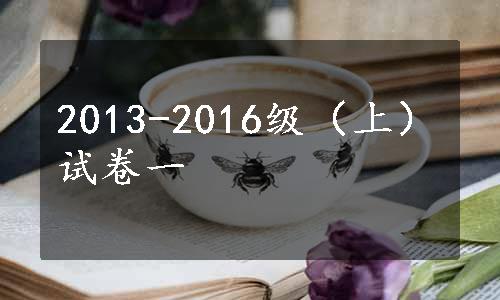 2013-2016级（上）试卷一