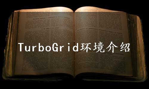 TurboGrid环境介绍