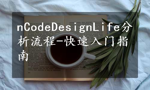 nCodeDesignLife分析流程-快速入门指南