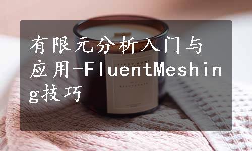 有限元分析入门与应用-FluentMeshing技巧