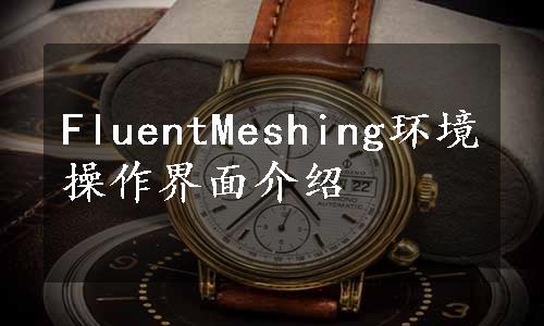 FluentMeshing环境操作界面介绍