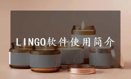 LINGO软件使用简介