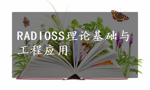 RADIOSS理论基础与工程应用