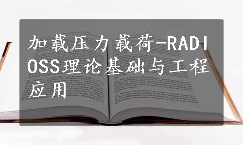 加载压力载荷-RADIOSS理论基础与工程应用