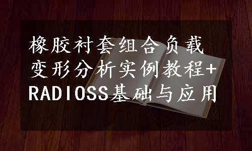 橡胶衬套组合负载变形分析实例教程+RADIOSS基础与应用