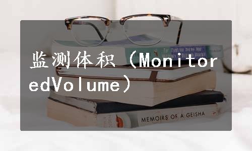 监测体积（MonitoredVolume）