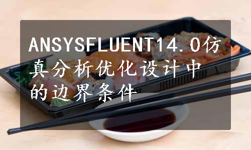 ANSYSFLUENT14.0仿真分析优化设计中的边界条件