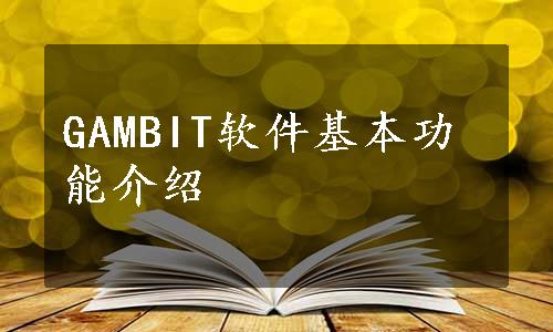 GAMBIT软件基本功能介绍