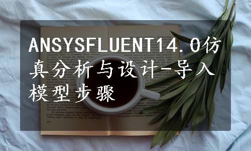 ANSYSFLUENT14.0仿真分析与设计-导入模型步骤