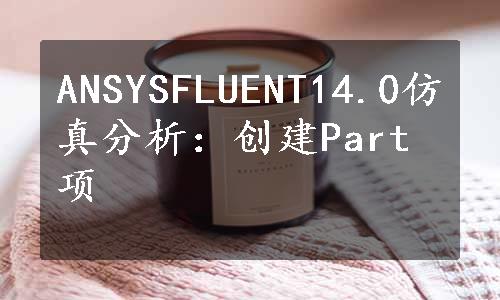 ANSYSFLUENT14.0仿真分析：创建Part项