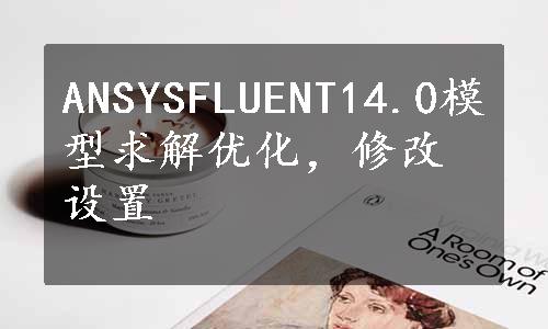 ANSYSFLUENT14.0模型求解优化，修改设置