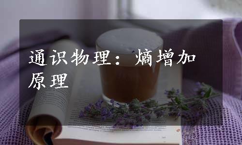 通识物理：熵增加原理