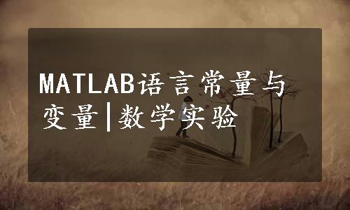 MATLAB语言常量与变量|数学实验