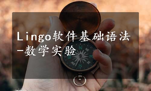 Lingo软件基础语法-数学实验
