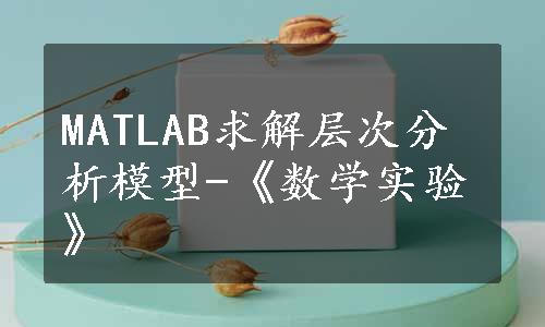 MATLAB求解层次分析模型-《数学实验》