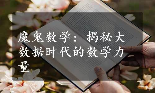 魔鬼数学：揭秘大数据时代的数学力量