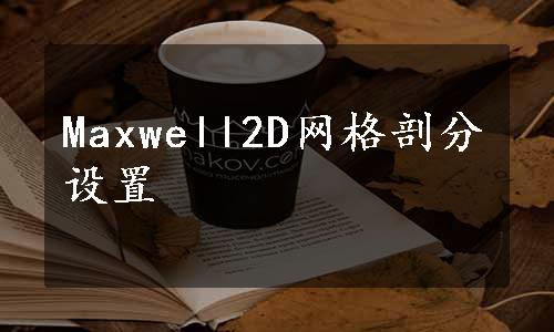 Maxwell2D网格剖分设置