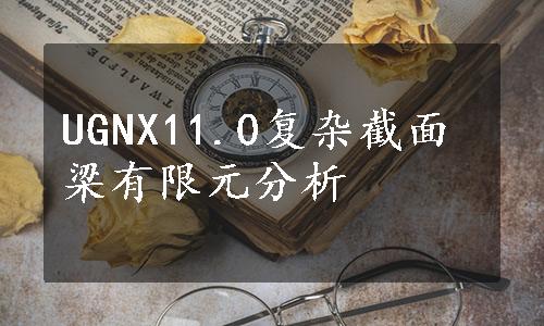 UGNX11.0复杂截面梁有限元分析