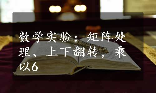 数学实验：矩阵处理、上下翻转，乘以6