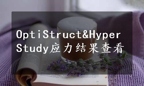 OptiStruct&HyperStudy应力结果查看