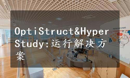 OptiStruct&HyperStudy:运行解决方案