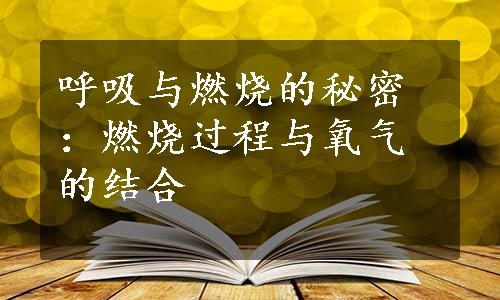 呼吸与燃烧的秘密：燃烧过程与氧气的结合