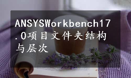 ANSYSWorkbench17.0项目文件夹结构与层次