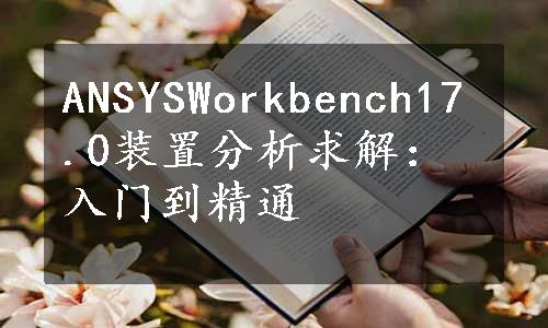 ANSYSWorkbench17.0装置分析求解：入门到精通