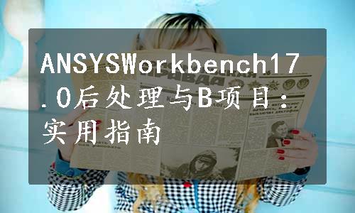 ANSYSWorkbench17.0后处理与B项目：实用指南