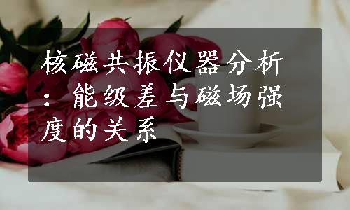 核磁共振仪器分析：能级差与磁场强度的关系