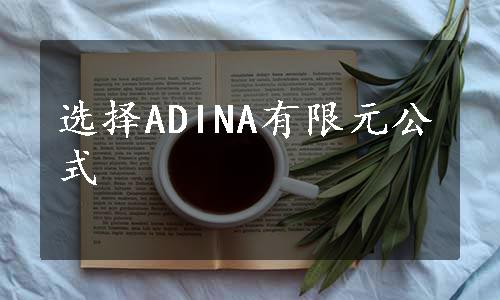 选择ADINA有限元公式