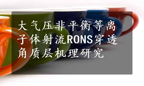 大气压非平衡等离子体射流RONS穿透角质层机理研究