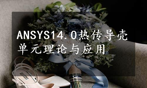 ANSYS14.0热传导壳单元理论与应用