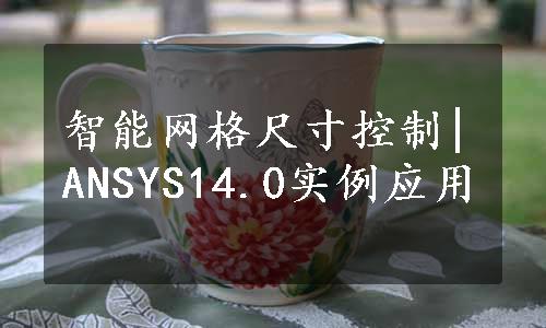 智能网格尺寸控制|ANSYS14.0实例应用