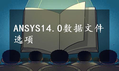 ANSYS14.0数据文件选项