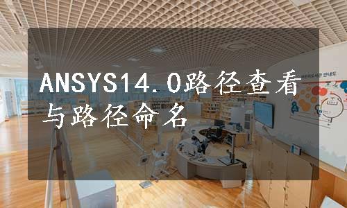 ANSYS14.0路径查看与路径命名