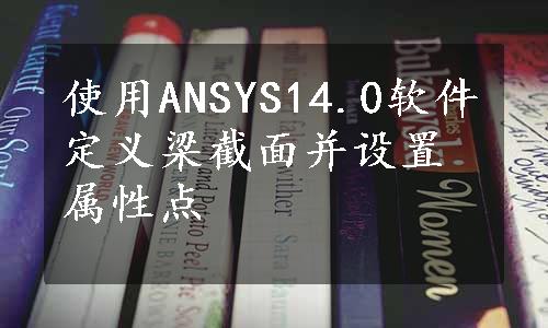 使用ANSYS14.0软件定义梁截面并设置属性点