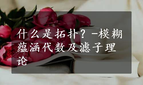 什么是拓扑？-模糊蕴涵代数及滤子理论