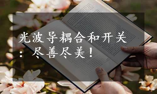 光波导耦合和开关：尽善尽美！