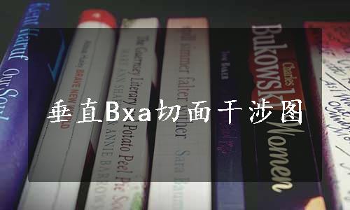 垂直Bxa切面干涉图