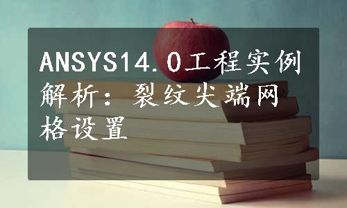 ANSYS14.0工程实例解析：裂纹尖端网格设置