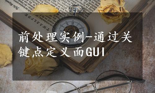 前处理实例-通过关键点定义面GUI