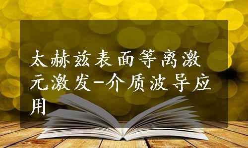 太赫兹表面等离激元激发-介质波导应用