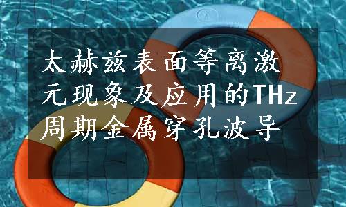 太赫兹表面等离激元现象及应用的THz周期金属穿孔波导